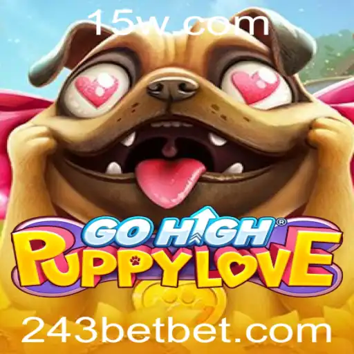 243 bet Jogos de cartas